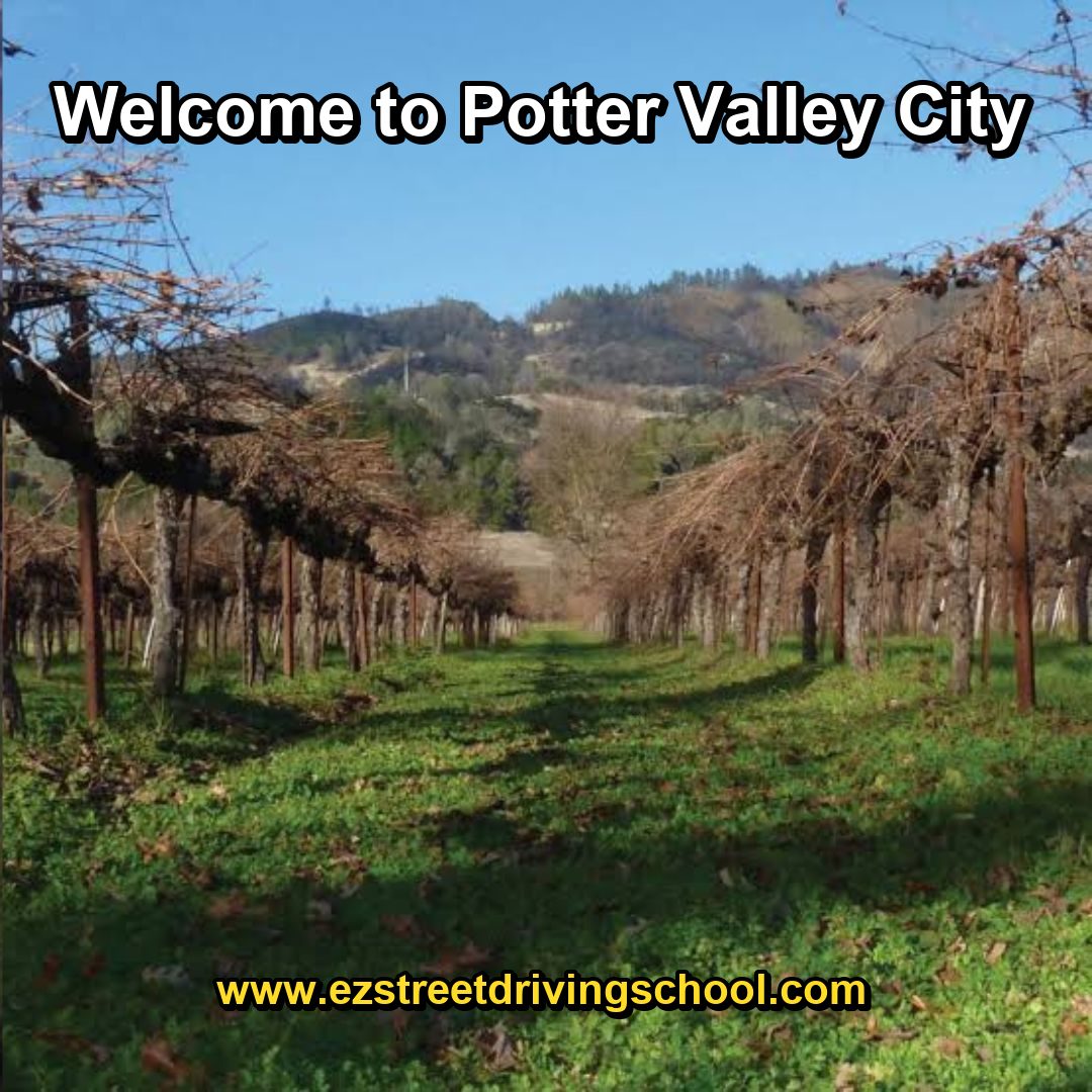 Driving Lessons in Potter Valley